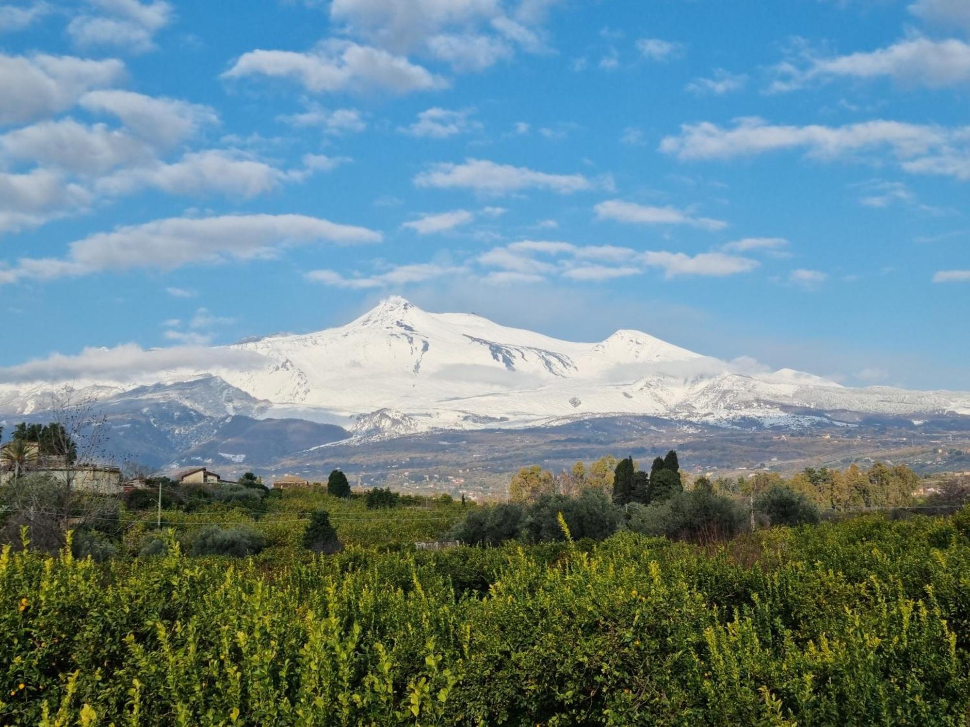 Luxury Historic Residence With Heated Pool Near Catania, Taormina, The Sea And Mount Etna Giarre Eksteriør bilde